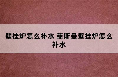 壁挂炉怎么补水 菲斯曼壁挂炉怎么补水